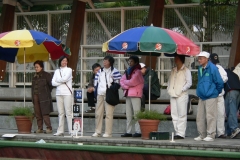 2005-01-02-大埔草地滾球冬季聯賽-046